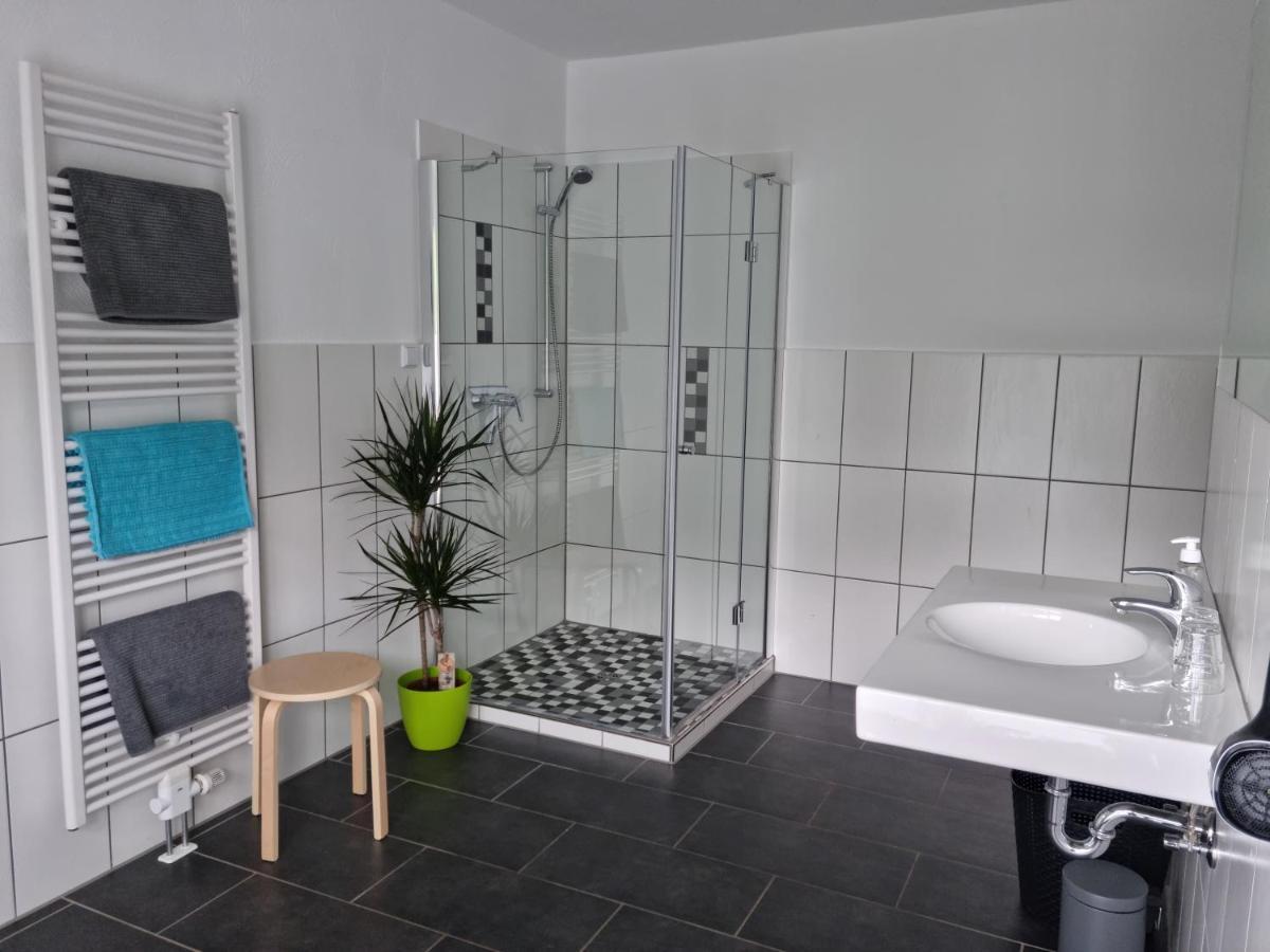 Vier Pfoten * Willingen (Upland)