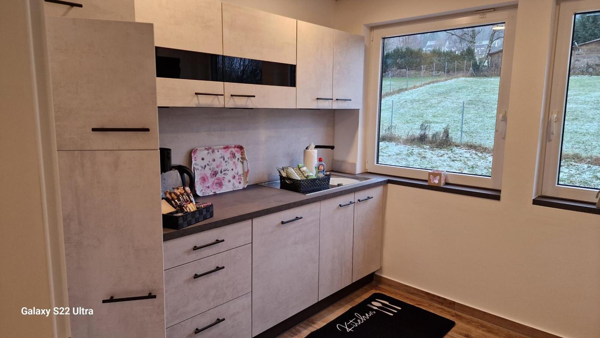 Apartment Vier Pfoten Willingen (Upland)